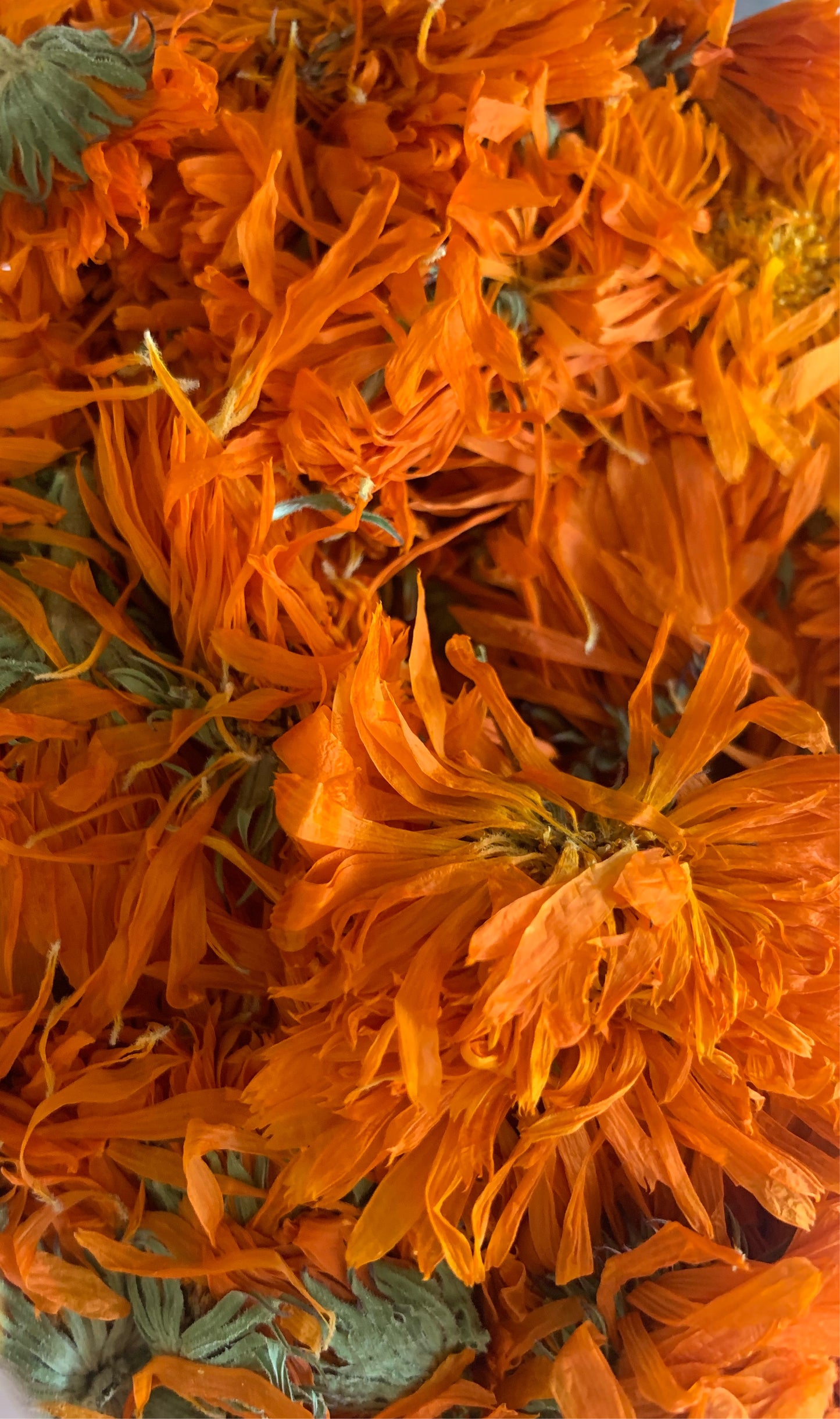 Chamomile Calendula Whipped Tallow Balm