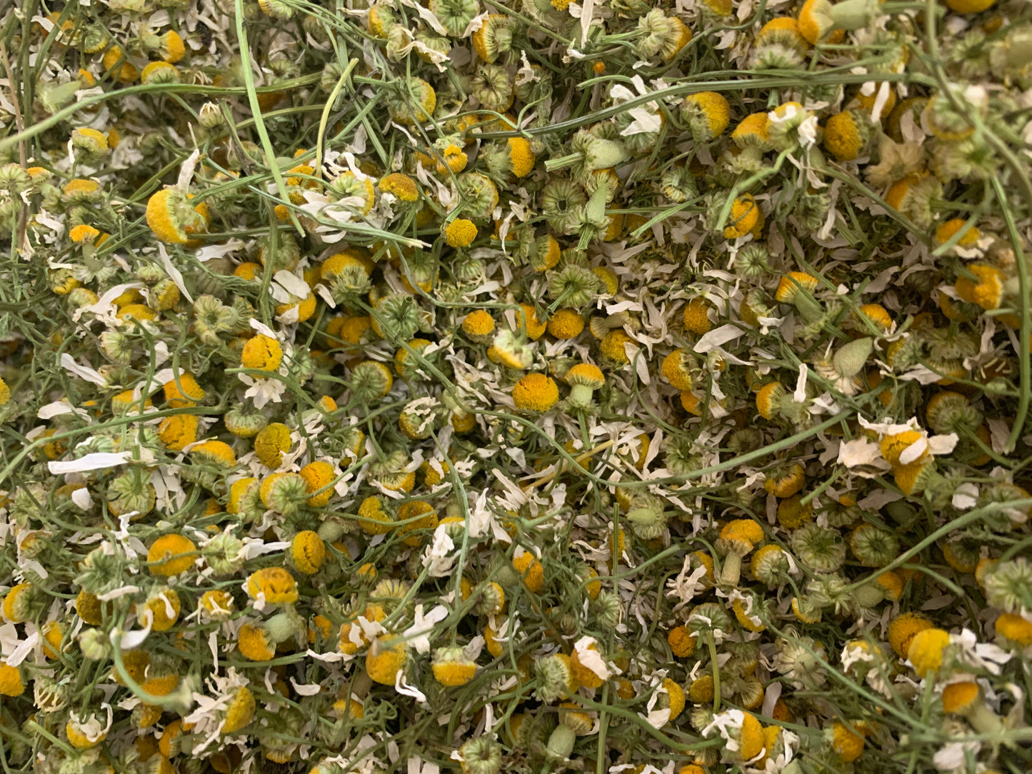 Chamomile Calendula Whipped Tallow Balm